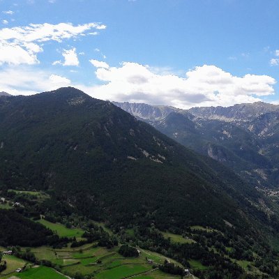 PuntiJosep's profile picture. Graduat Social