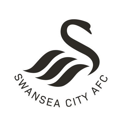 Official Swansea City Club Shop   |   01792 616400   |    sales@swanseacity.com   |   info@swanseacity.com