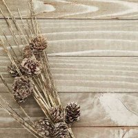 Teman Hidup (@meigarani2) 's Twitter Profile