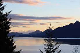 Sea2SkyDeals's profile picture. 