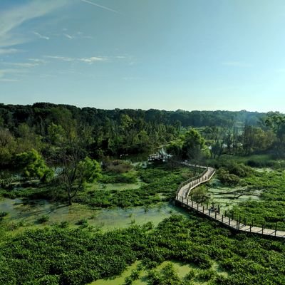 FollowPhilanth1's profile picture. Following social impact organizations