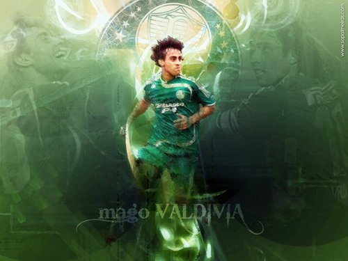 um perfil criado para todos os palmeirenses q são fãs do mago Valdivia