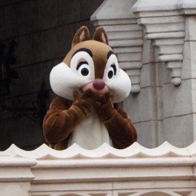 ryoma253's profile picture. ほぼD垢。チデオタ(デール寄り)🐿🐿最近やっと子育て一段落して自分の時間が出来たおばさん。福岡市在住。