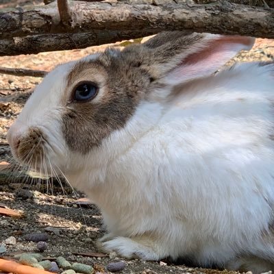 Software Engineer at @kddi_agile
favorite: Golang, Kubernetes