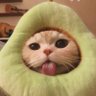 sandWitch23_9's profile picture. кісточка авокадо🥑