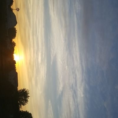 Josie35061115's profile picture. 