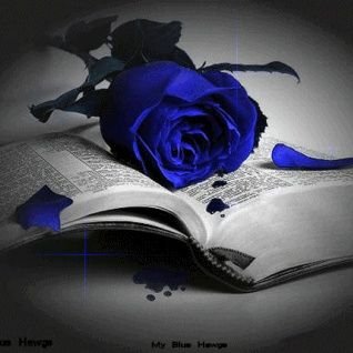 Yamina18's profile picture. Les honnêtes gens veulent qu'on sente leur droiture, ils préfèrent l'estime et la confiance aux trésors. [Fénelon]