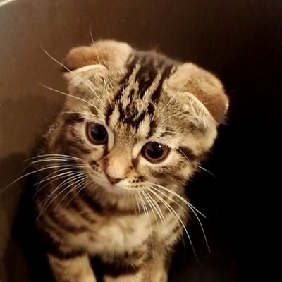 Eope0iqF5iTO97L's profile picture. 豆食べたい❗