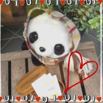 旅と音楽と猫が好きです! フジロックと海外旅行が毎年の楽しみ♪ちなみにフジロックに初めて行ったのは(oasisで泣いた)2001年。