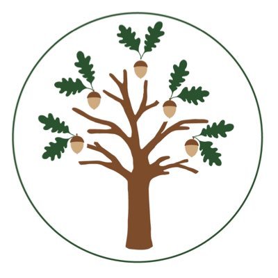Acorn Speech and Language Therapy is a paediatric SLT service based in North East London