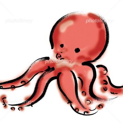 tako17868473's profile picture. 