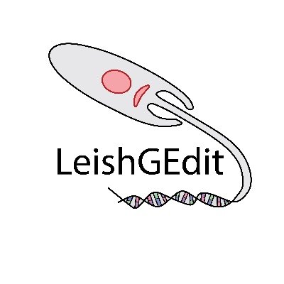 Parasite genes & cells | Prof @IZB_unibern. #leishmania
Affiliate @WCIPGLASGOW, formerly @UniofOxford, PhD @LSHTM
Also on @GluenzLab@mstdn.science