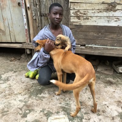 Am called sengendo joseph I lost my mother when I was five years am now staying with my father and our rescued animals #savemyanimalsavemylife