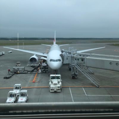 2016年にSFC取得。2020年3月まではずっとANAでした。それからはずっとJALごく稀にANAです。 やらないと言ってた2023年もJGPを取得。2024年お休み。2025年は気を取り直して🍣目指して80回飛びます。