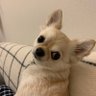 kgmashmash's profile picture. 雑貨店勤務の、美味しいご飯とお酒が好きなバツイチ40代男性です。ほぼ日記替わりにツイートしてます。
気軽によろしくお願いします！
※2025年ゆるっとダイエット中