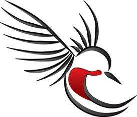 flyRuby's profile picture. flyRuby, private jets fast.