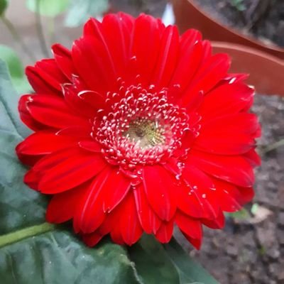 coffeecorner00's profile picture. 