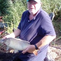 Raymond price - @Raymond59671421 Twitter Profile Photo