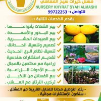 محب للزراعة والترحل ومتابعة أحوال الطقس (@saif_1114al) 's Twitter Profile