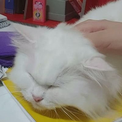 🎈さんのプロフィール画像