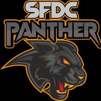 SFDC Panther (@sfdcpanther) 's Twitter Profile