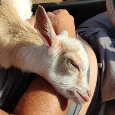 CarbisGregory's profile picture. 