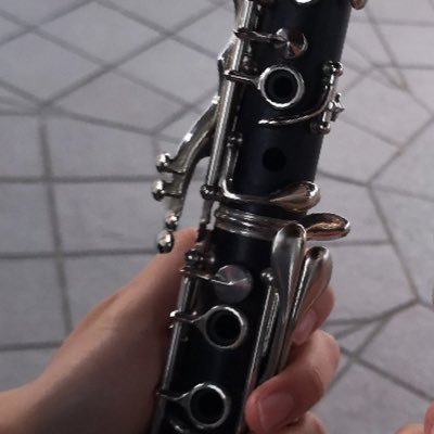 BU→🎓/尼崎双星/淀工/精華女子/玉名女子/岡山学芸館/Official髭男dism/音楽/clarinet/ADVENTURE WORLD🐬/#1日1動物