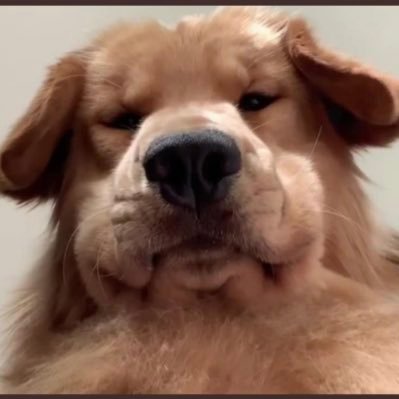 colbyyurr's profile picture. quick on the sticks and a sherm in the sheets