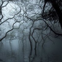 A Tender Darkness (@atenderdarkness) 's Twitter Profile