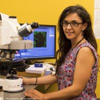 Hermina Nedelescu, PhD (@hermina_hn) 's Twitter Profile