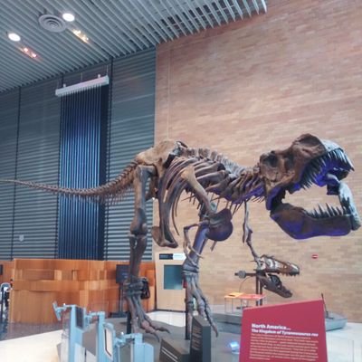 thegideonboots's profile picture. I am the stone that the builder refused.
Sperm donor