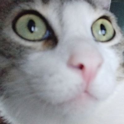 dani_lorente's profile picture. 