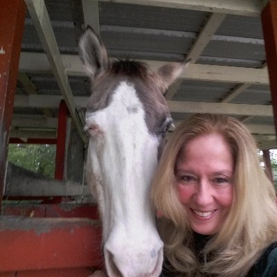 We are Roni, Jester (Horses spying on left side of pic), Lucy (dog), 8 fish in a pond and 20 kitties (half the crew in pic).  We call ourselves The Barn Cats.