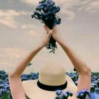heba massri 𓂆 (@hebamassri) 's Twitter Profile