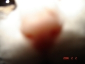 meow618's profile picture. 