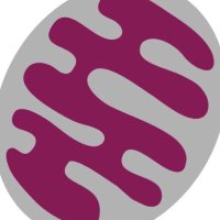 WredenbergLab (@wredenberglab) 's Twitter Profile