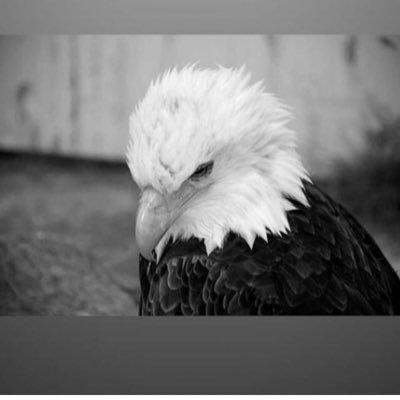 faatihhkara's profile picture. Tüm dünyam mahallem