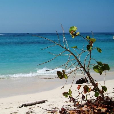 MelaniaIzaro's profile picture. 