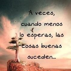 UzNaida's profile picture. 