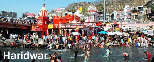 GauriTravel's profile picture. Business Boy