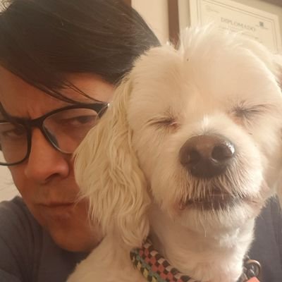 FrancisLlewelyn's profile picture. Abogado litigante, actor amateur y anecdotólogo
Feo pero encachao