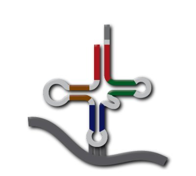 Lowe Lab @ucsc focuses our research on #tRNA, including gene prediction, sequencing, regulation, and #RNA modification.