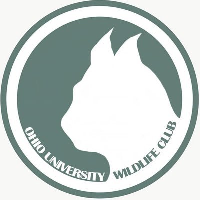 Ohio University Wildlife Club. We tweet animal pics. Meetings currently once a week in person.