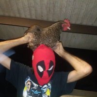 A.J. Gleason aka Dirty Rag (@ajgleason3) 's Twitter Profile