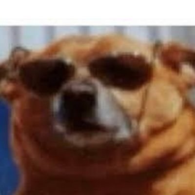 AlamosJofre's profile picture. 