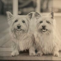 Marianne Roybal (@roybalmarianne) 's Twitter Profile Photo Marianne Roybal (@roybalmarianne) 's Twitter Profile Photo