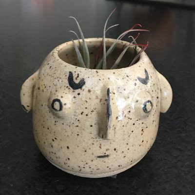 slimetimecrimes's profile picture. this is where ted talks