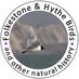 Ian Roberts (@folkestonebirds) Twitter profile photo