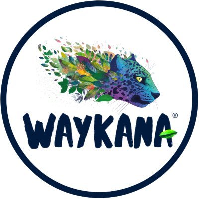 Waykana Guayusa is a social amazonic company that offers Premium Green Guayusa: a  super leaf that helps you find Health, Energy and Balance!
