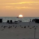 Sally Braun - @SalBraun - Twitter